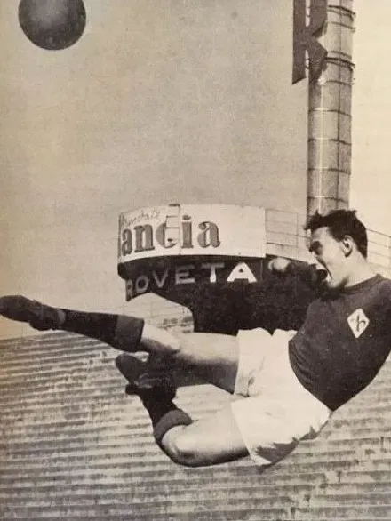 Ardico Magnini